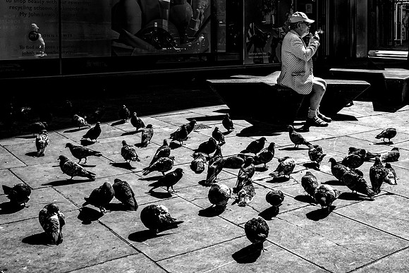 For The Birds
