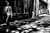 In The Shade