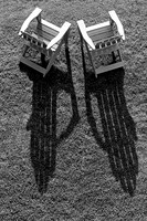 Adirondack Shadows
