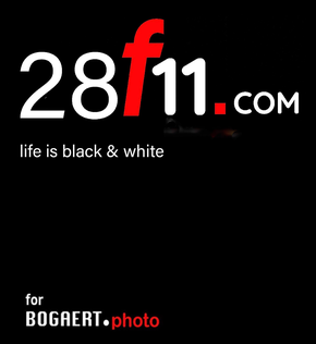 28f11 for BOGAERT.photo